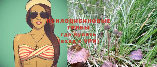ALPHA PVP Богородицк