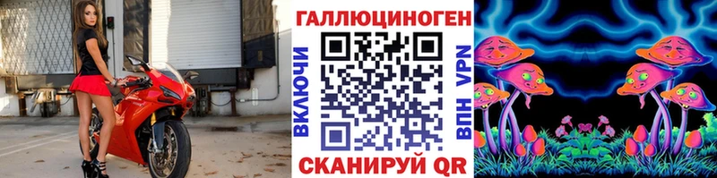 Псилоцибиновые грибы Psilocybine cubensis  Вельск 